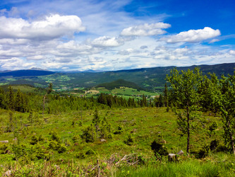 Similar image 19951038