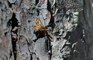 Similar image 20058893