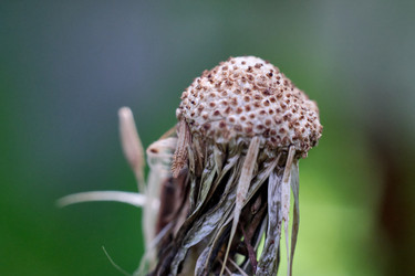 Similar image 20058896