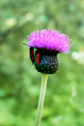 Similar image 20058900