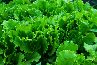 Similar image 20058901