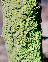 Similar image 20058915