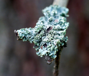 Similar image 20058916