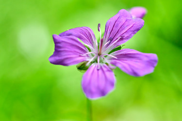 Similar image 20058917