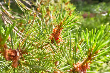 Similar image 20058920