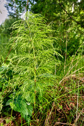 Similar image 20058923