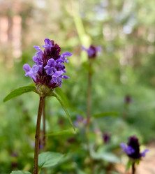 Similar image 20058925