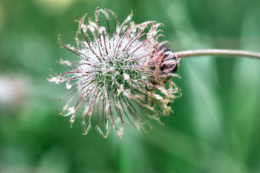 Similar image 20058926