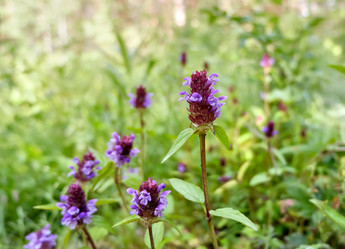 Similar image 20058927