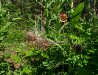 Similar image 20058928