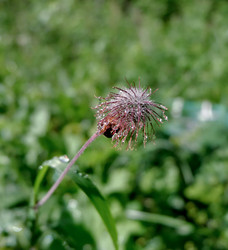 Similar image 20058931