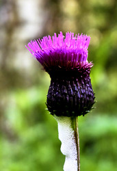 Similar image 20058932