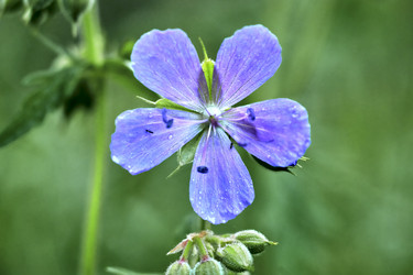 Similar image 20058941