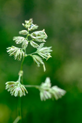 Similar image 20058956