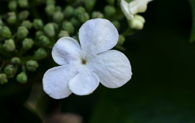 Similar image 20058938