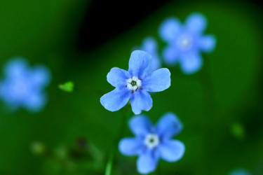 Similar image 20058939