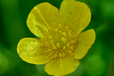 Similar image 20058940