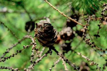 Similar image 20058942