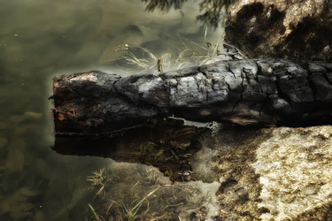 Similar image 20058943