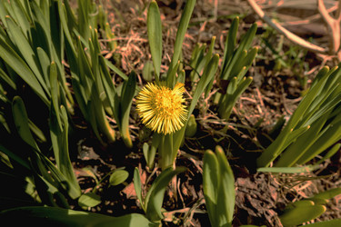 Similar image 20058944