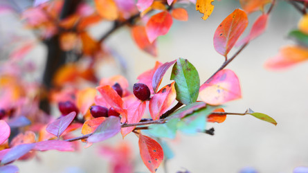 Similar image 19946248