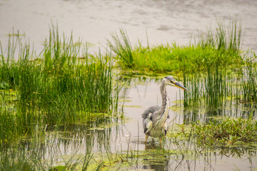 Similar image 20121270