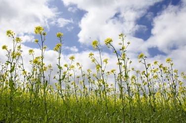 Similar image 19951041