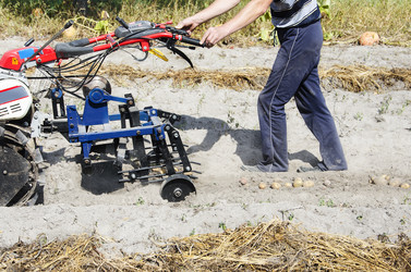 Similar image 19951042