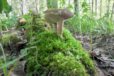 Similar image 20058855