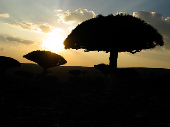 Similar image 20114107