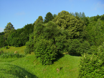 Similar image 19950596