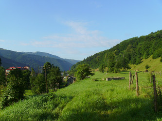 Similar image 19950578