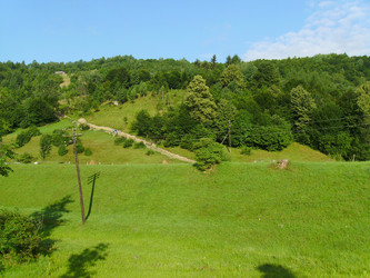 Similar image 19950580