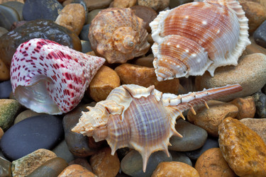 Similar image 20058081