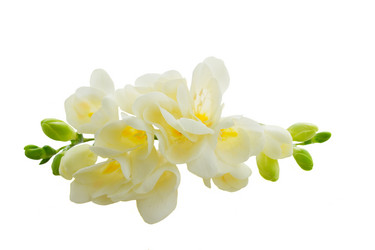 Similar image 20069917