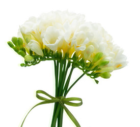 Similar image 20069918