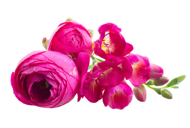 Similar image 20069921