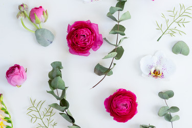 Similar image 20069925