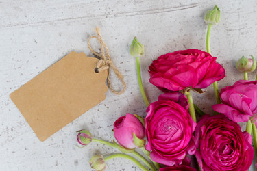 Similar image 20069929