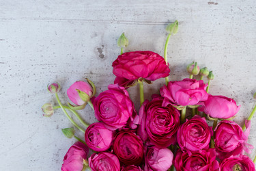 Similar image 20069930