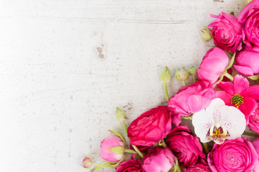 Similar image 20069932