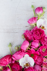 Similar image 20069933