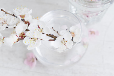 Similar image 20069936