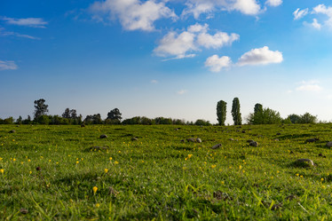 Similar image 20108210