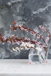 Similar image 20069939