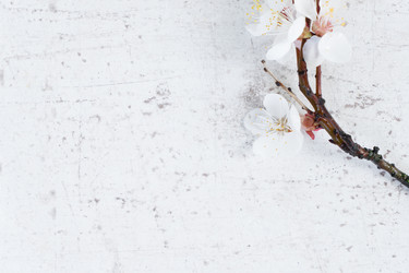 Similar image 20069940