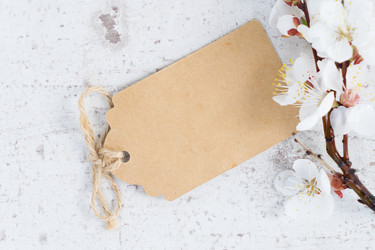 Similar image 20069941