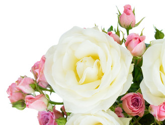 Similar image 20069942