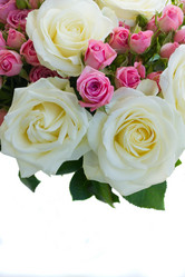 Similar image 20069945