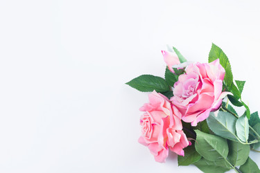 Similar image 20069947